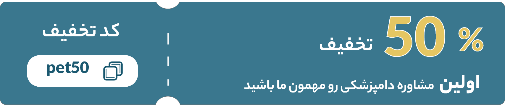 تخفیف ویژه